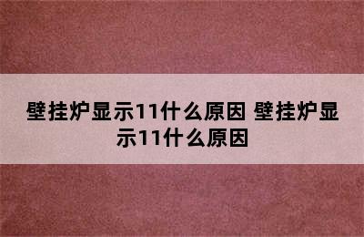 壁挂炉显示11什么原因 壁挂炉显示11什么原因